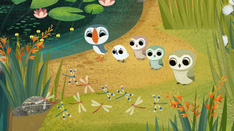 Puffin Rock — s02e18 — The Dragonfly Display