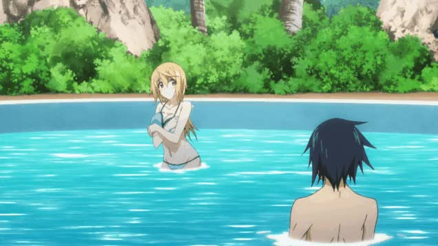IS: Infinite Stratos — s02 special-1 — OVA 2: Long Vacation Edition