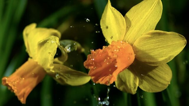 Countryfile — s33e12 — First Signs of Spring
