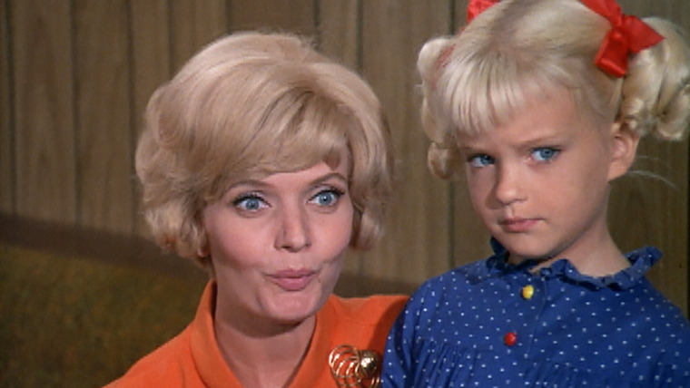 The Brady Bunch — s01e07 — Kitty-Karry-All is Missing