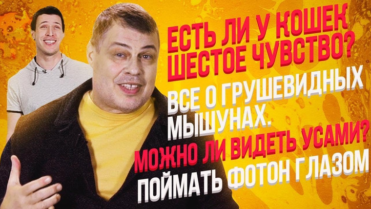 Затевахин О Животных — s01e01 — 01 || Есть ли у кошек 6-е чувство || Затевахин о Животных