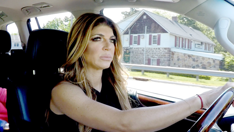 The Real Housewives of New Jersey — s08e13 — Prisons, Proposals and Parties