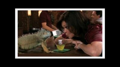 Красотки в Кливленде — s02e21 — Elka's Big Day