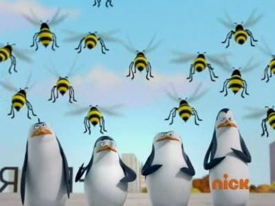 The Penguins of Madagascar — s01e36 — Sting Operation