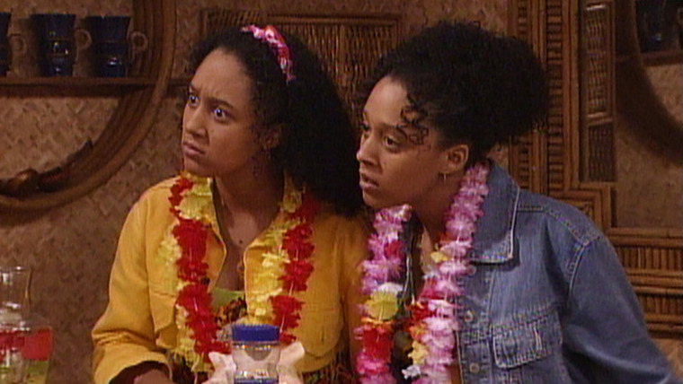 Sister, Sister — s03e09 — Thanksgiving in Hawaii (1)