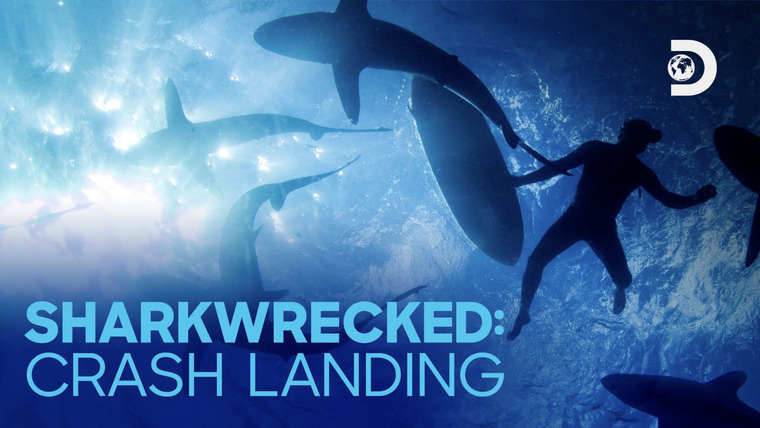 Shark Week — s2019e08 — Sharkwrecked: Crash Landing