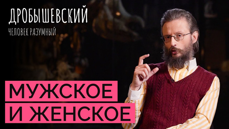 Дробышевский. Человек разумный — s04e17 — Как выглядят половые различия у обезьян и предков человека? // Дробышевский. Человек разумный