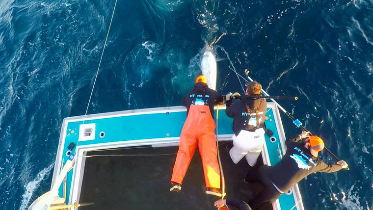 Wicked Tuna: Outer Banks — s05e11 — Blood, Sweat, and Tears