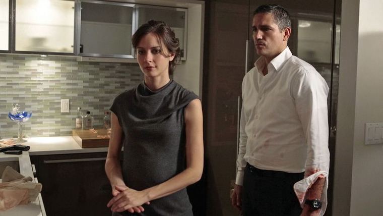 Person of Interest — s01e23 — Firewall