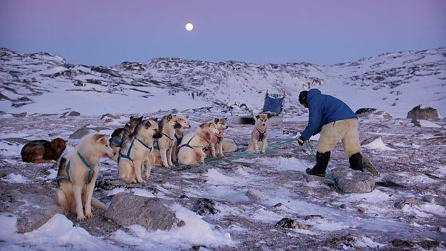 BBC: Планета людей — s01e03 — Arctic - Life in the Deep Freeze
