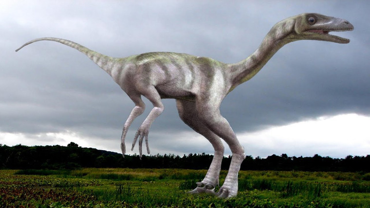 Ридл — s03e26 — Как выглядели динозавры на самом деле?