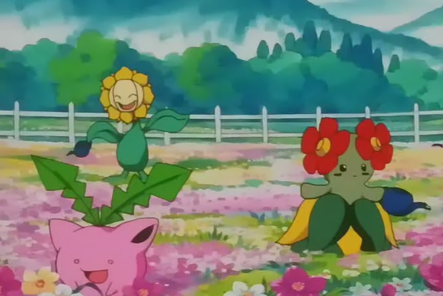 Покемон — s03e62 — Popocco! Grass Pokemon Battle!!