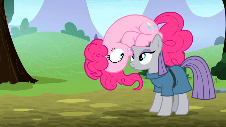My Little Pony: Friendship is Magic — s08e03 — The Maud Couple