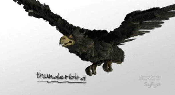 Пункт назначения – правда — s03e07 — Haunted Lost City / Thunderbird