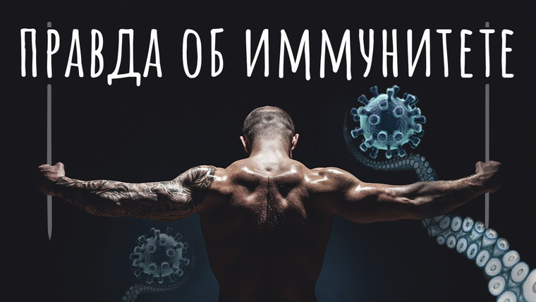 ТЕД на русском — s02e28 — Укрепить иммунитет — возможно ли это? Вот вся правда