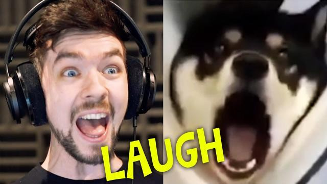 Jacksepticeye — s07e331 — CHILD GETS SCARRED FOR LIFE | Jacksepticeye's Funniest Home Videos #4