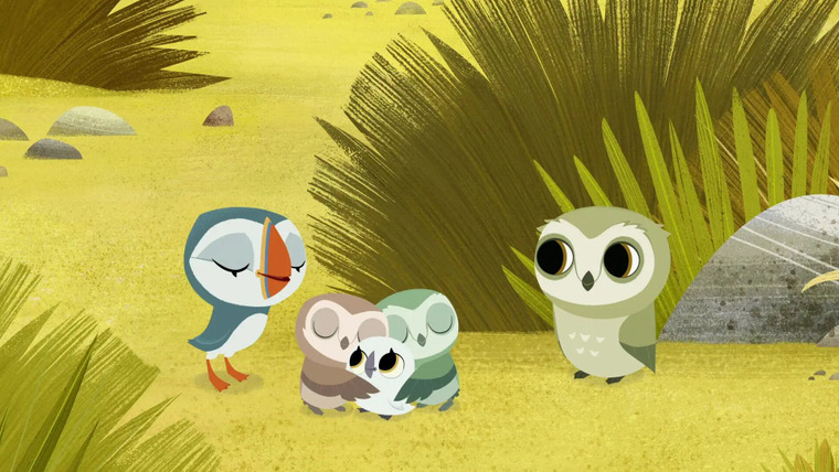Puffin Rock — s02e39 — Day and Night