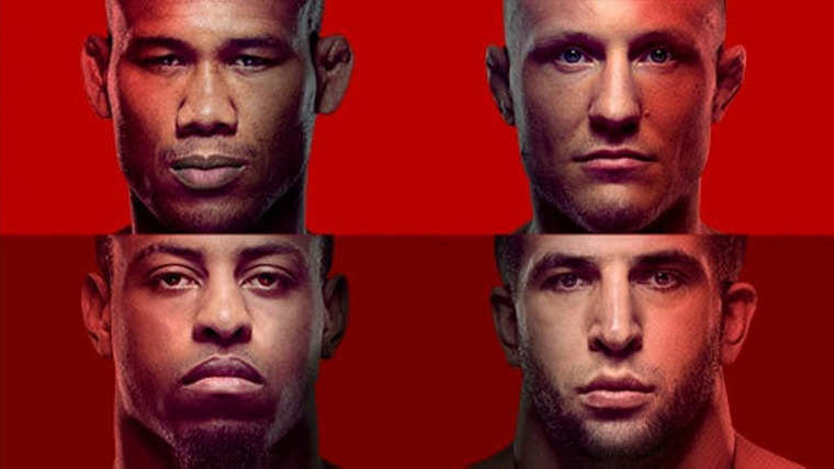 UFC Fight Night — s2019e10 — UFC Fight Night 150: Jacaré vs. Hermansson