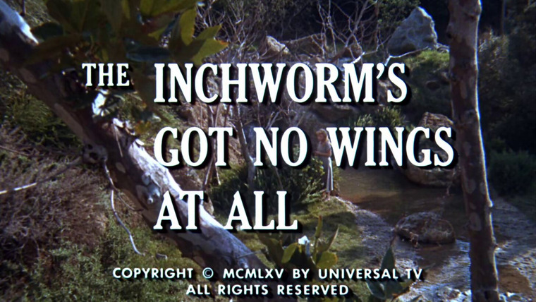 Виргинец — s04e20 — The Inchworm's Got No Wings at All