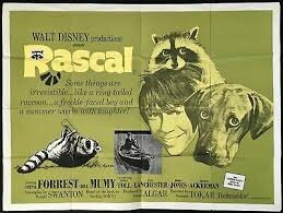 The Wonderful World of Disney — s19e14 — Rascal (1)