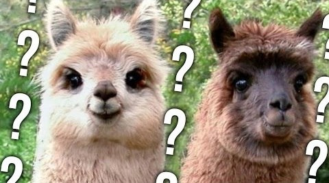 ПьюДиПай — s06e375 — LLAMA OR DUCK? -- Greatest iOS Games Of All Time.