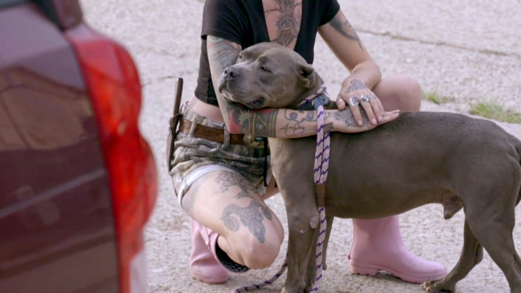 Pit Bulls & Parolees — s13e08 — Last of the Mobsters