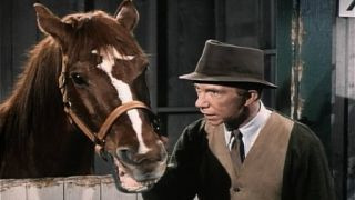My Favorite Martian — s03e29 — Horse and Buggy Martin
