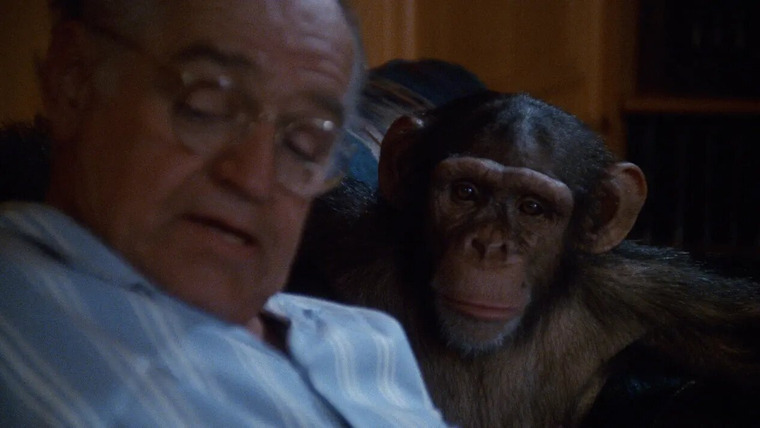 Закон Лос-Анджелеса — s06e05 — Monkey on My Back Lot