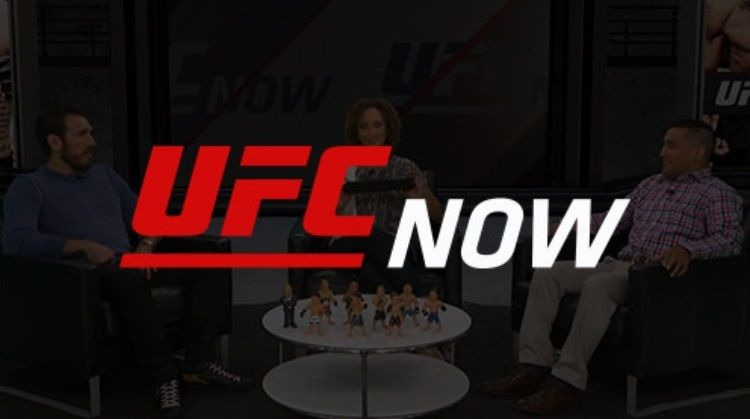 UFC NOW — s04e22 — Just Scratching the Surface