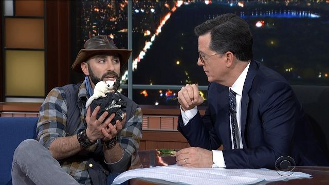 The Late Show with Stephen Colbert — s2020e31 — Tyra Banks, Coyote Peterson