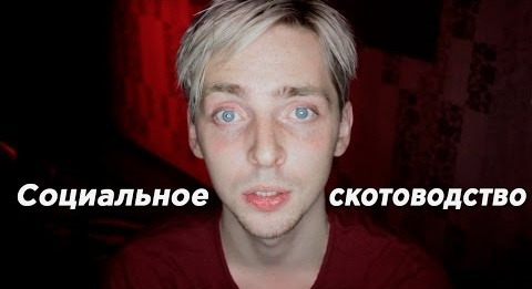 TrashSmash — s04 special-24 — Социальное скотоводство