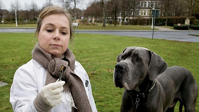 Tatort — s2008e14 — Thiel - 13 - Krumme Hunde