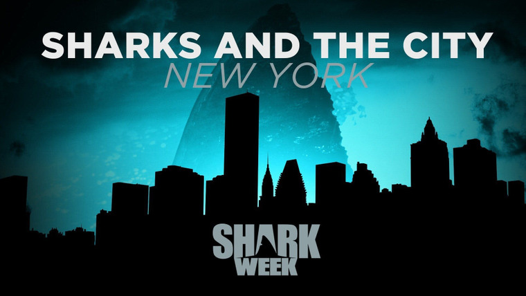 Shark Week — s2017e09 — Sharks and the City: New York