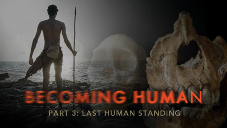NOVA — s37e06 — Becoming Human Part 3: Last Human Standing