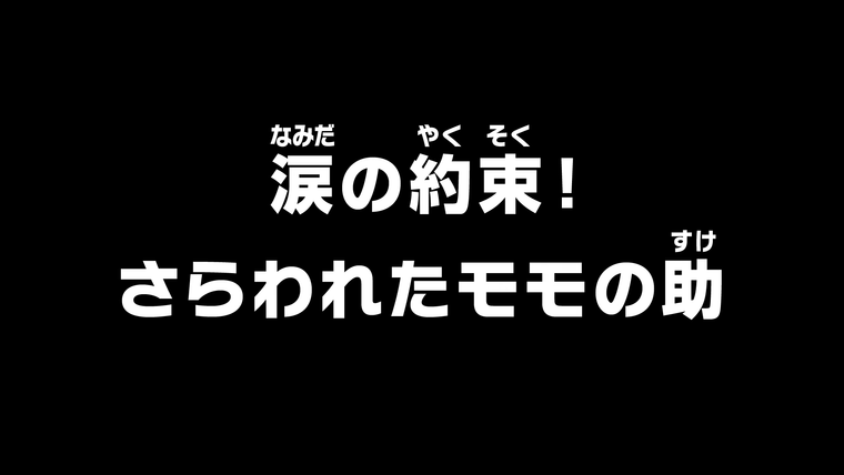 One Piece (JP) — s20e980 — A Tearful Promise! The Kidnapped Momonosuke
