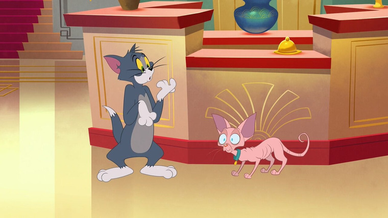 Tom and Jerry in New York — s01e21 — Cat Hair