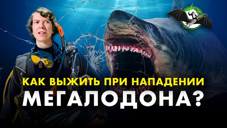 Ученые против мифов — s12e02 — Правда о тупых и кровожадных акулах. Мегалодон жив! Ярослав Попов. Ученые против мифов 12-2