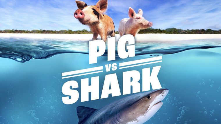 Shark Week — s2022e09 — Pig vs Shark