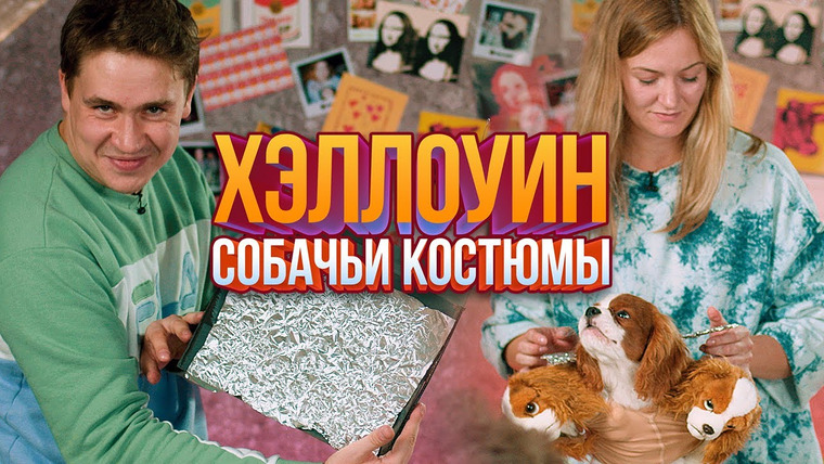 Smetana TV — s06e08 — DIY: костюмы для собак на Хэллоуин