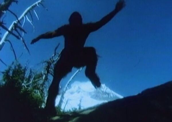 В поисках... — s04e09 — The Abominable Snowman