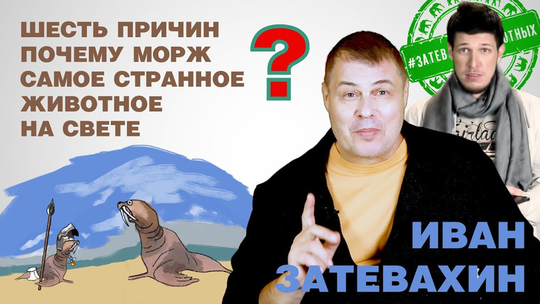 Затевахин О Животных — s01e08 — 07 || Шесть причин почему морж самое странное животное на свете || Затевахин о Животных