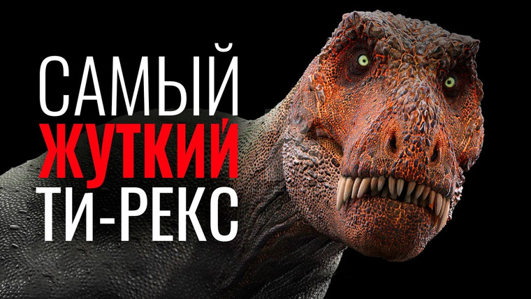 Rex 9. Rex 9