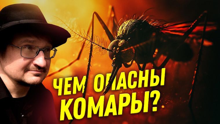Ученые против мифов — s25e02 — Мифы о кровососущих насекомых | Ученые против мифов 23-2