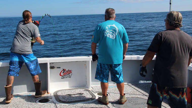 Wicked Tuna — s08e14 — Pulling Out All the Stops