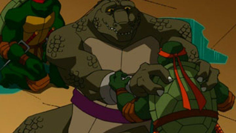 Teenage Mutant Ninja Turtles — s03e09 — H.A.T.E