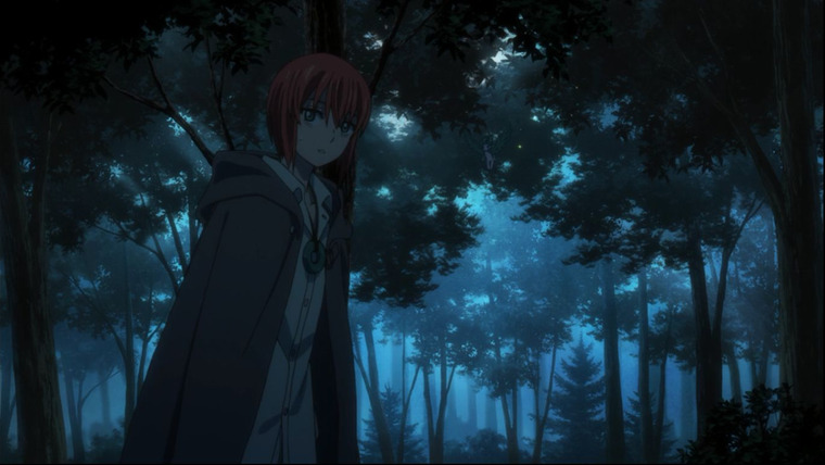 The Ancient Magus' Bride — s01e01 — April Showers Bring May Flowers
