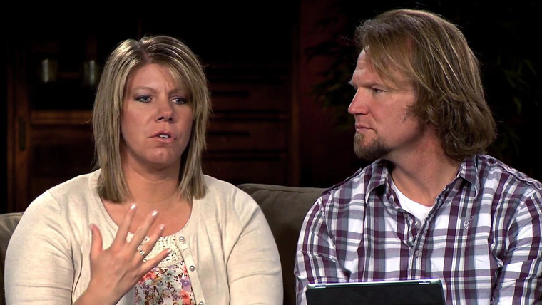Sister Wives — s04e04 — You Asked, Browns Answer