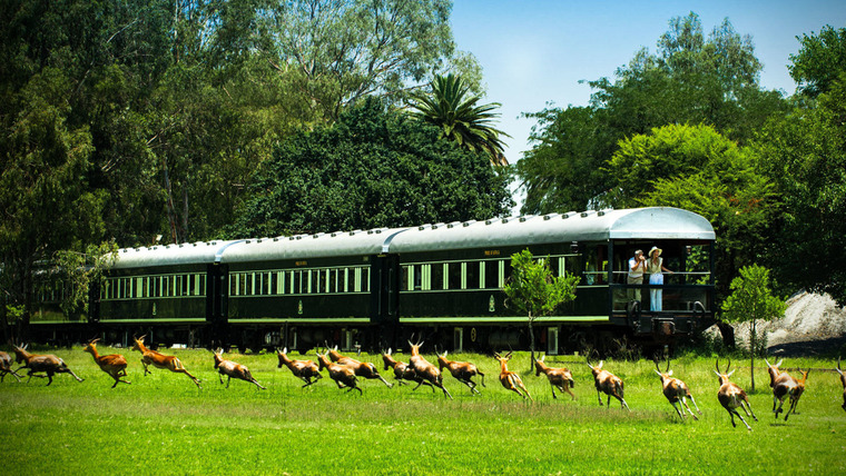 World's Most Scenic Railway Journeys — s02e02 — African Safari
