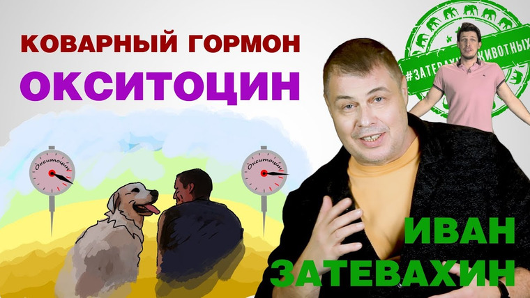 Затевахин О Животных — s01e09 — 08 || Коварный гормон окситоцин || Затевахин о Животных