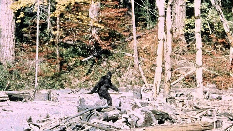In Search of..... — s01e05 — Bigfoot